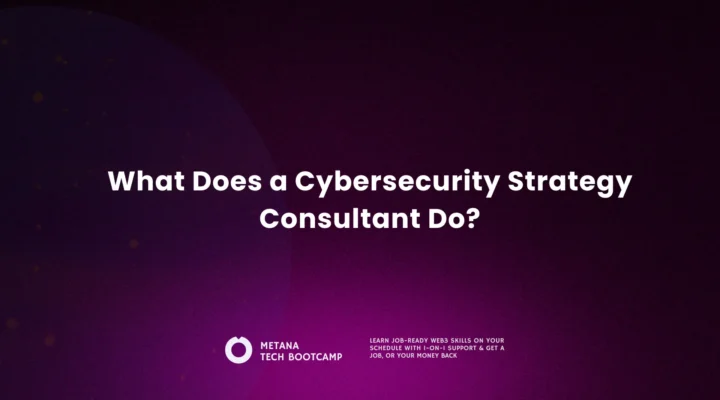 cybersecurity consultant
